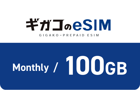 월액 100GB 플랜