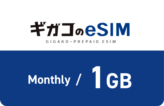 월액 1GB 플랜